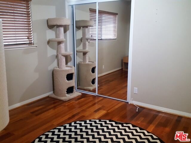 FULLBRIGHT photo 21
