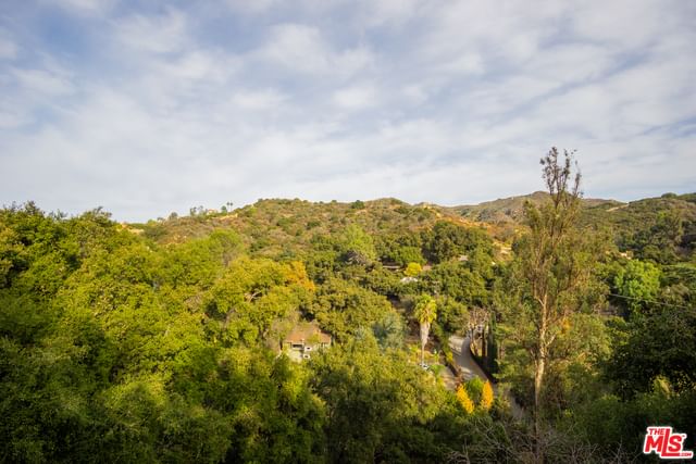 Hillside photo 35