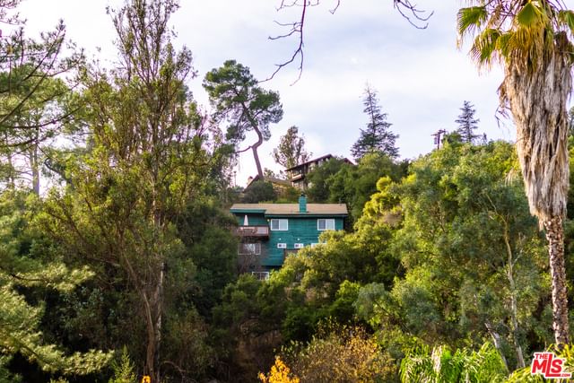 Hillside photo 36