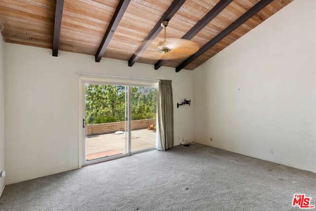 Catherwood photo 23