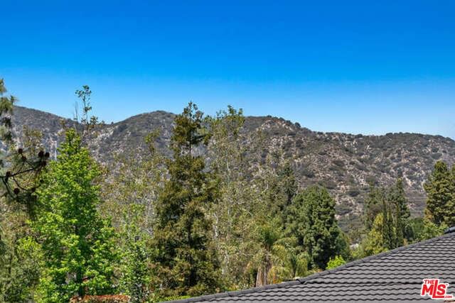 Catherwood photo 34