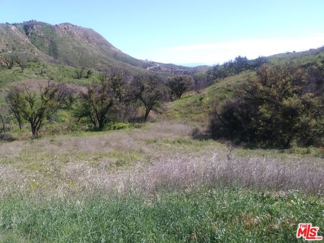 Encinal Canyon photo 1