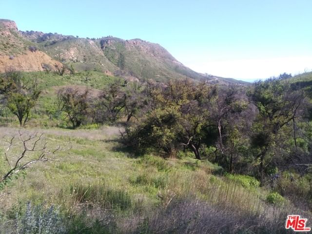 Encinal Canyon photo 3