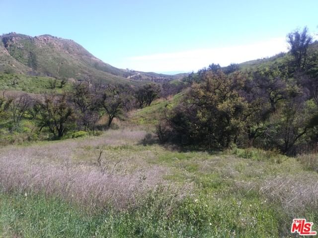 Encinal Canyon photo 4