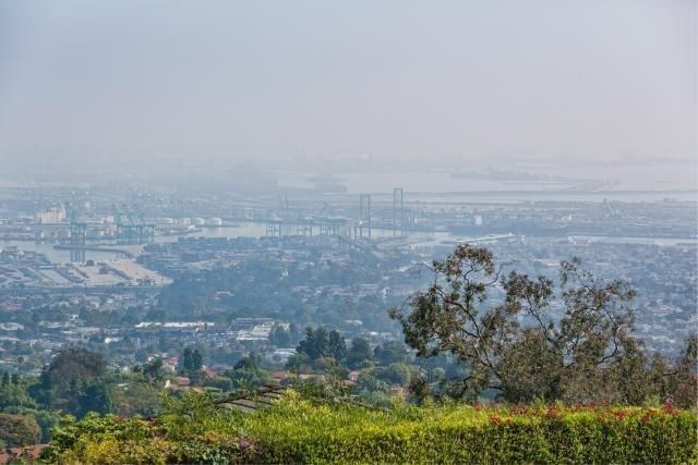 Highpoint photo 23