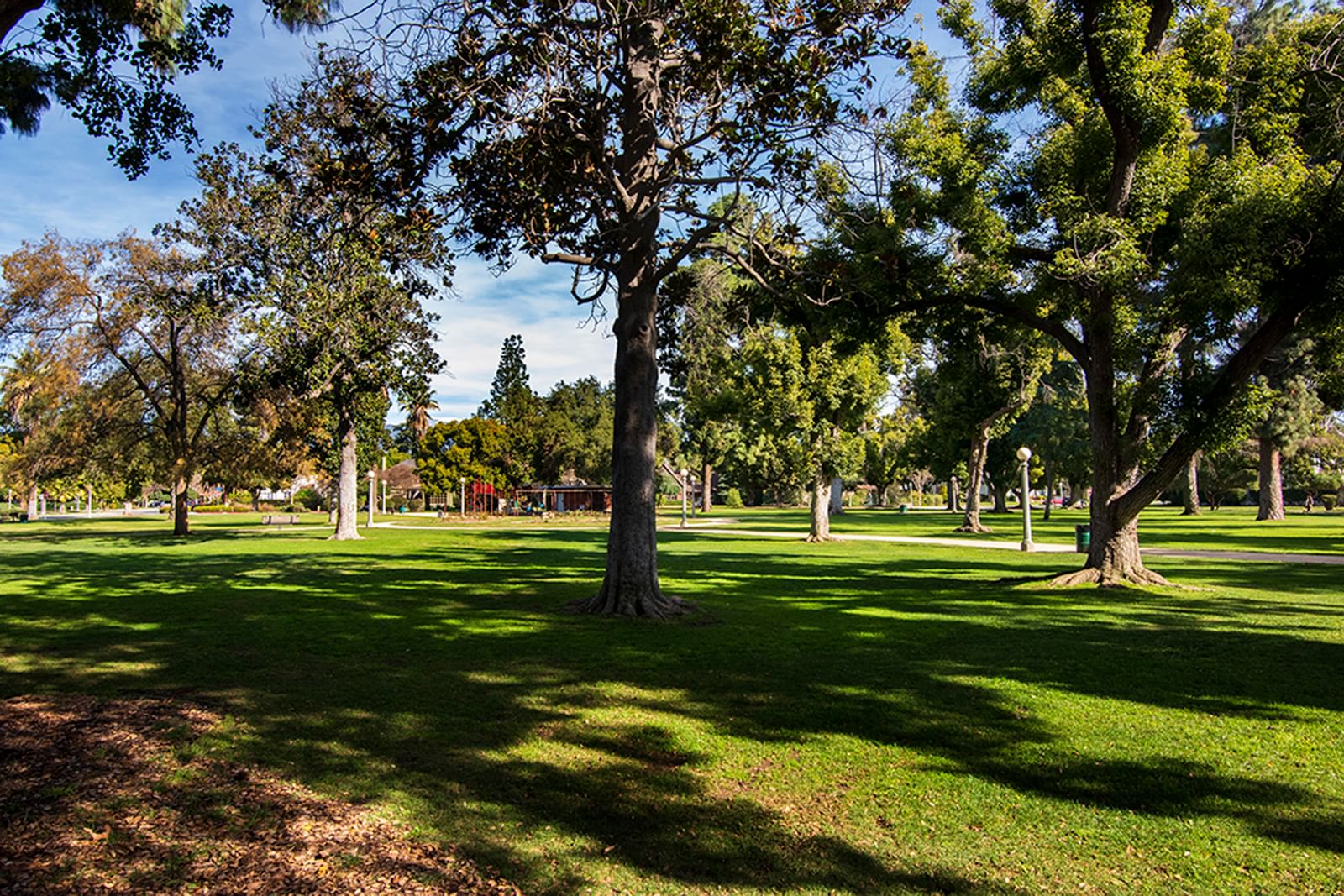 Mckinley photo 35
