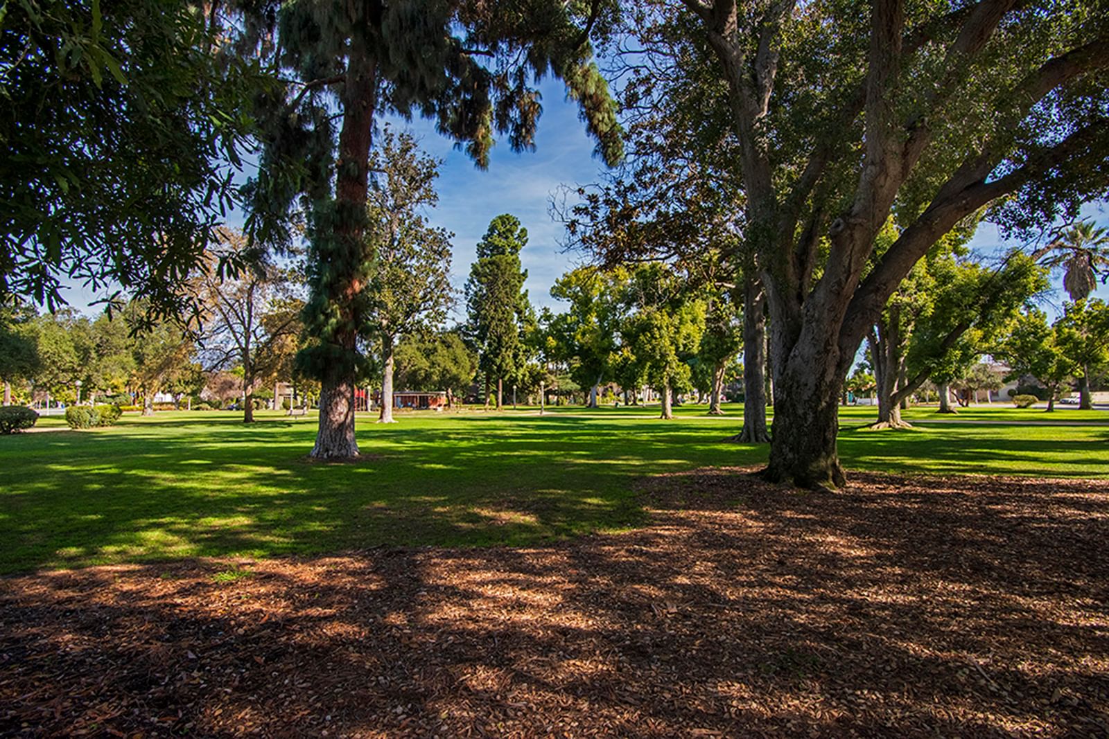 Mckinley photo 36