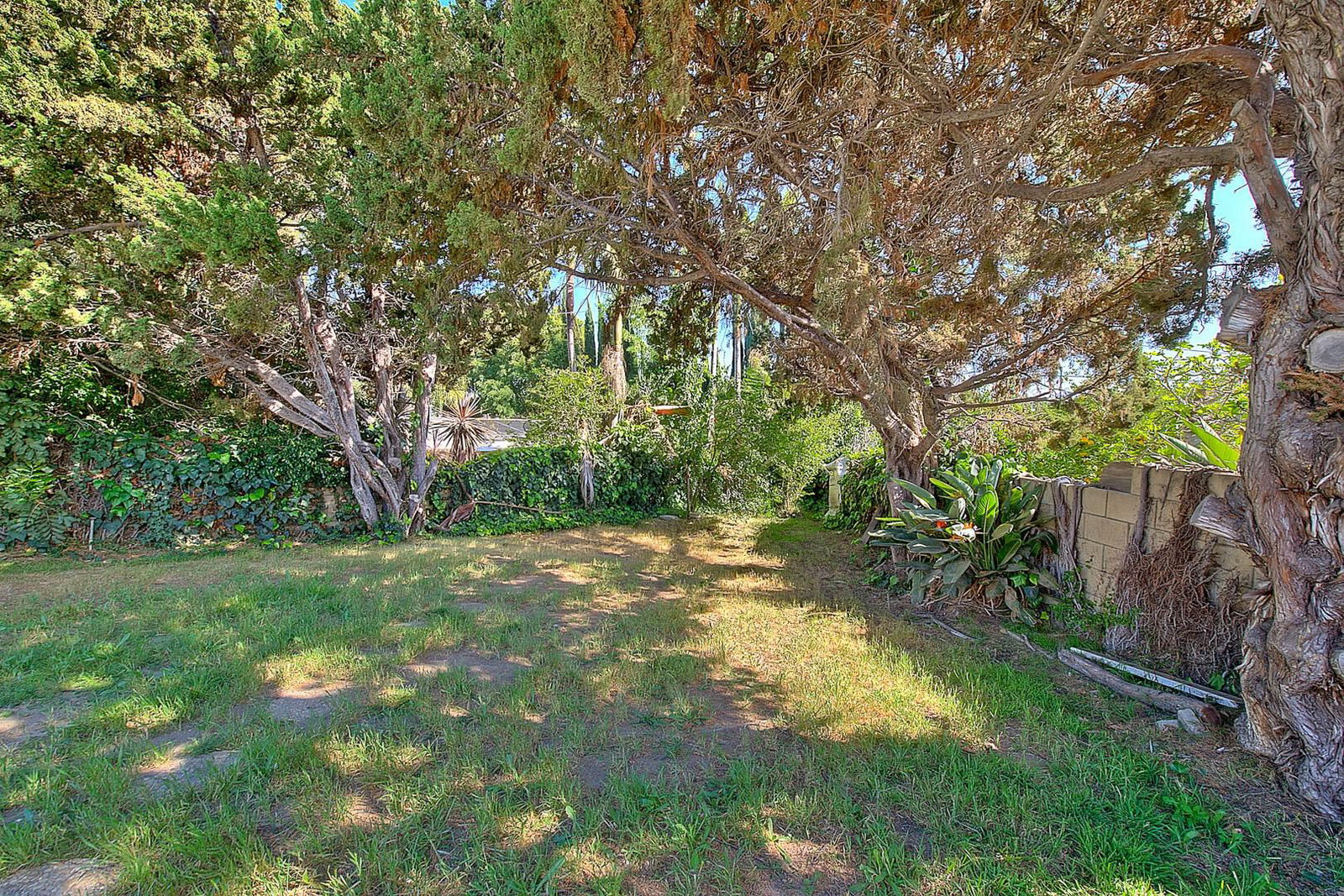 Lockhaven photo 74