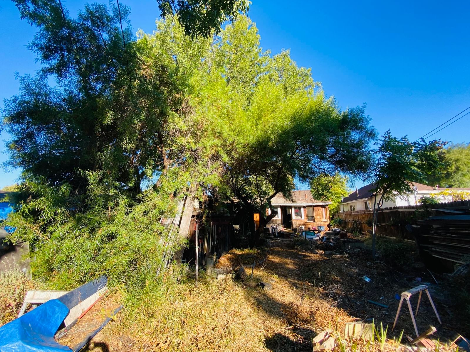 Pasadena photo 17