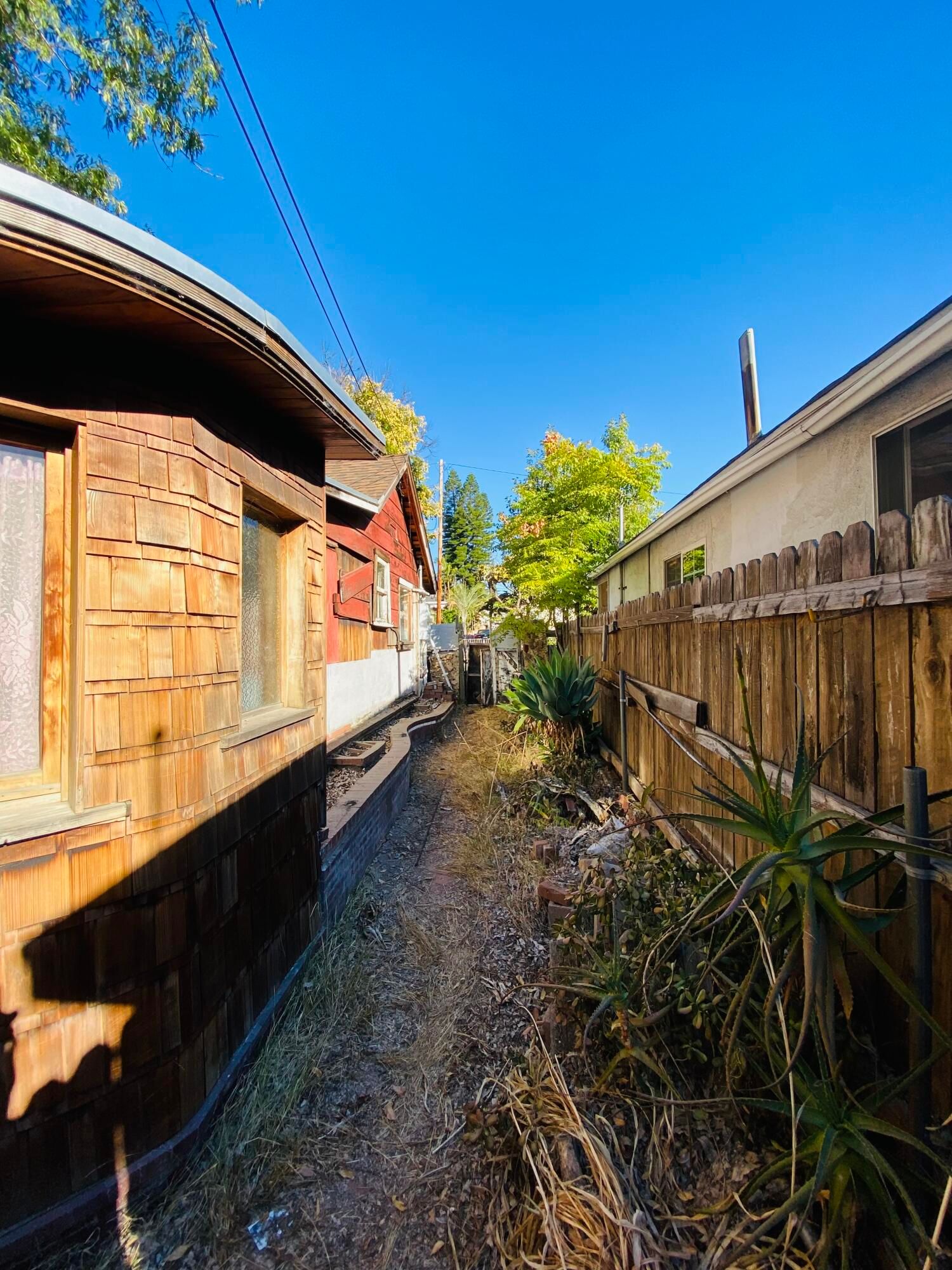 Pasadena photo 19