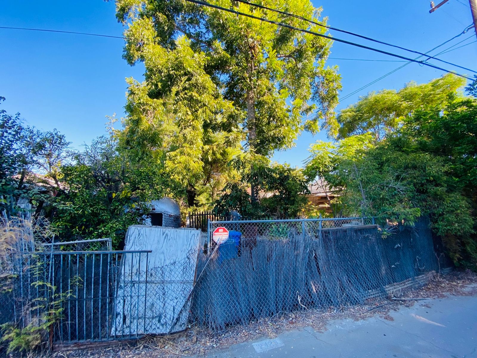 Pasadena photo 21