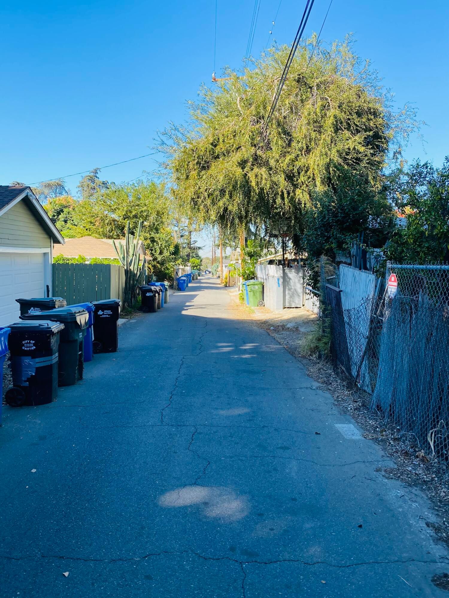 Pasadena photo 22