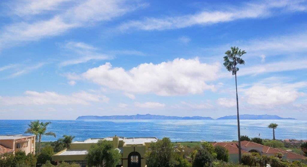 Seacliff photo 17
