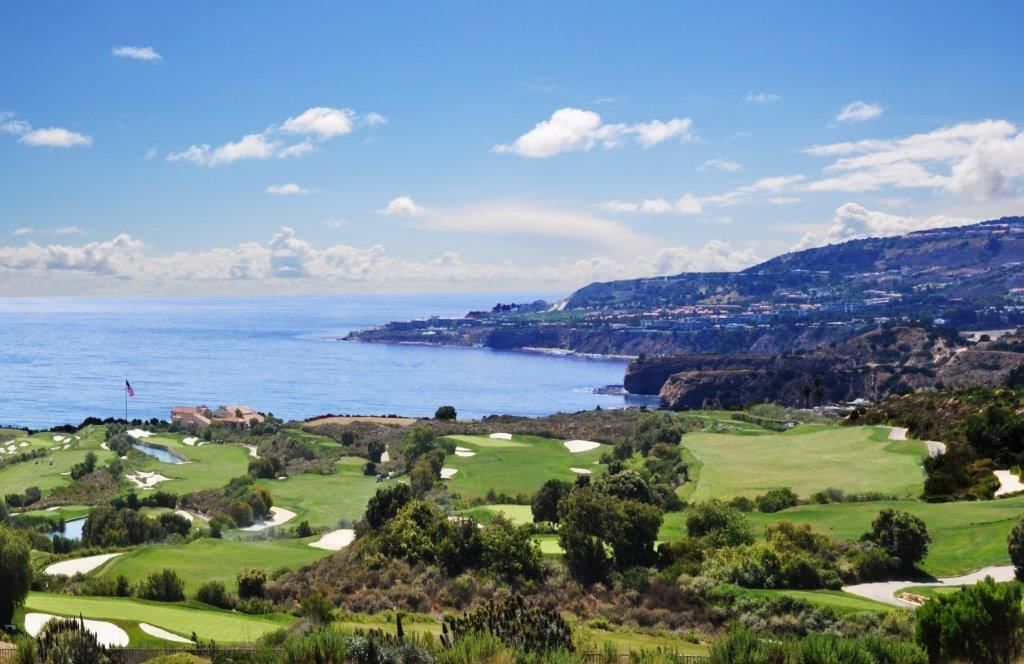 Seacliff photo 37