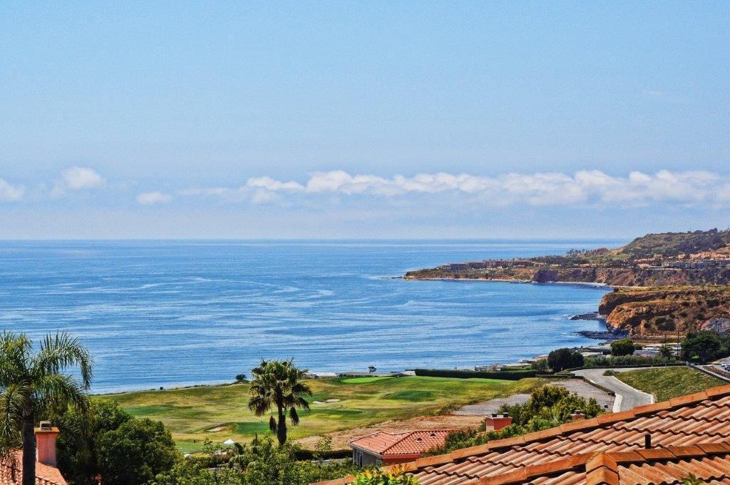 Seacliff photo 58
