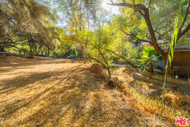 Topanga Canyon photo 1