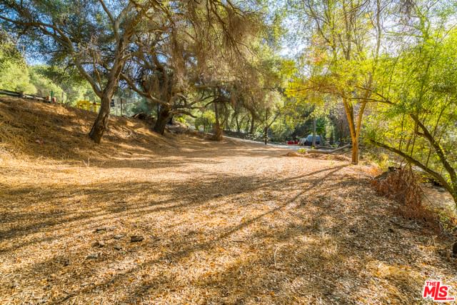 Topanga Canyon photo 3