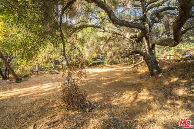 Topanga Canyon photo 7