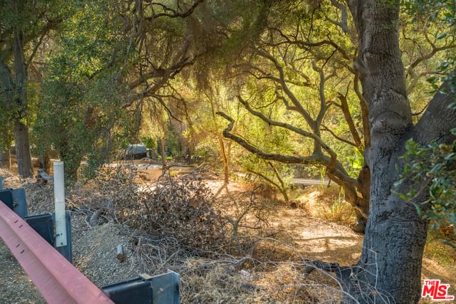Topanga Canyon photo 8