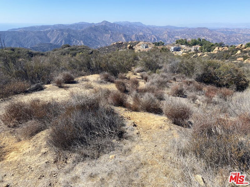 0 W Saddle Peak
