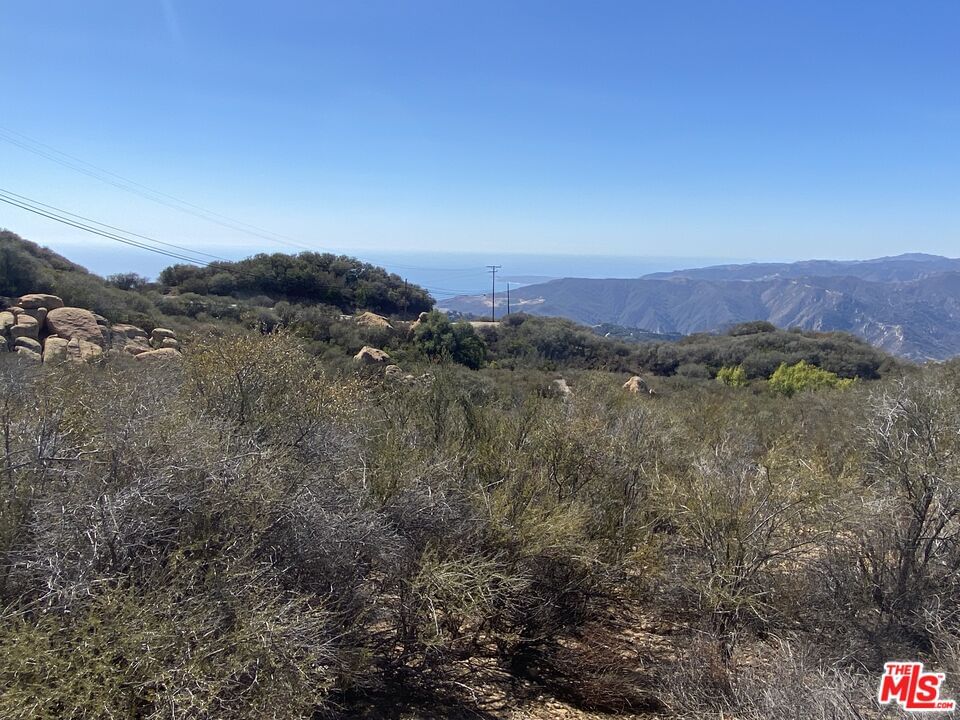 W Saddle Peak photo 2
