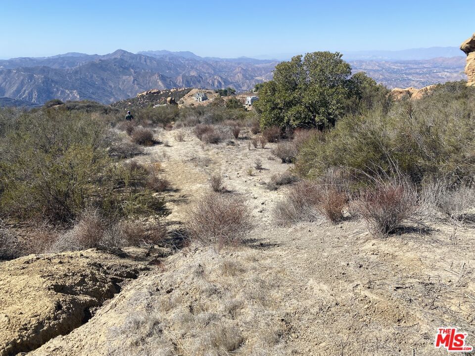 W Saddle Peak photo 4
