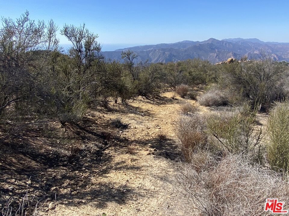 W Saddle Peak photo 6