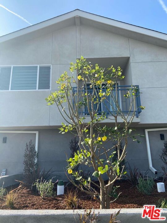 Cypress photo 14