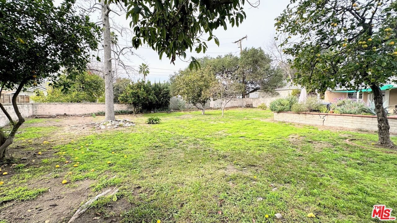 Sultana photo 2