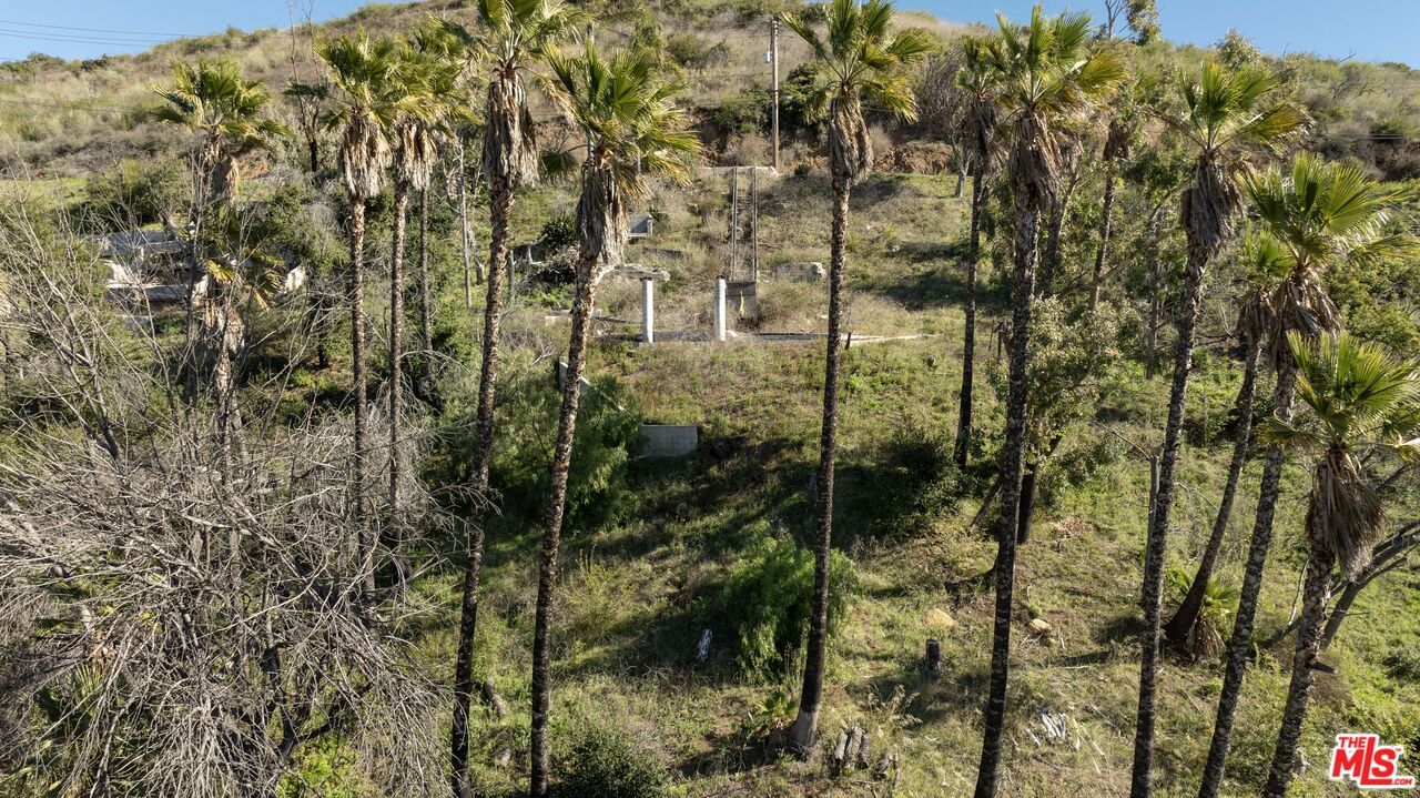 Latigo Canyon photo 15