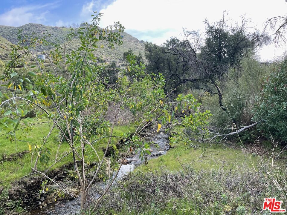 Mulholland photo 10