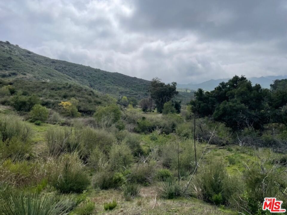 Mulholland photo 11