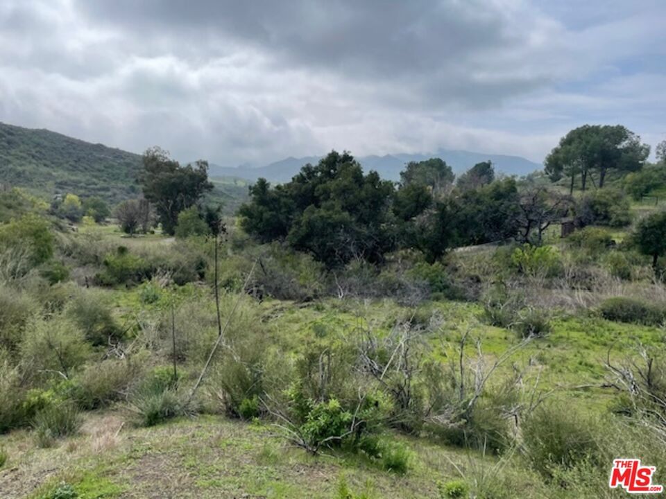 Mulholland photo 3