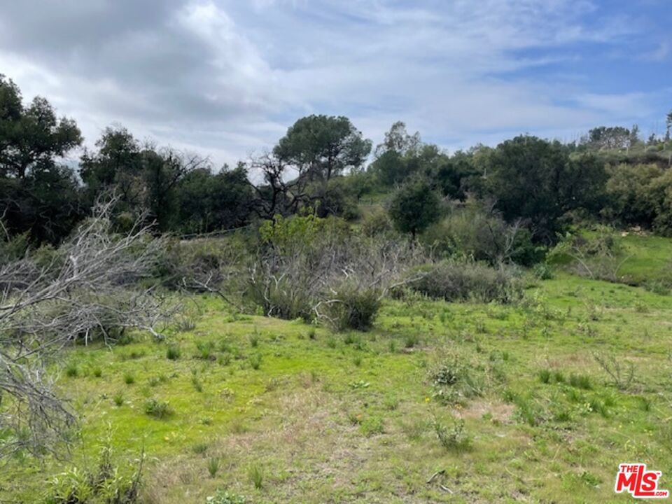 Mulholland photo 6