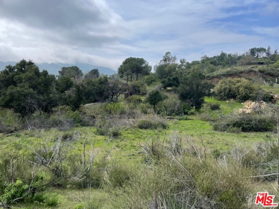 Mulholland photo 7