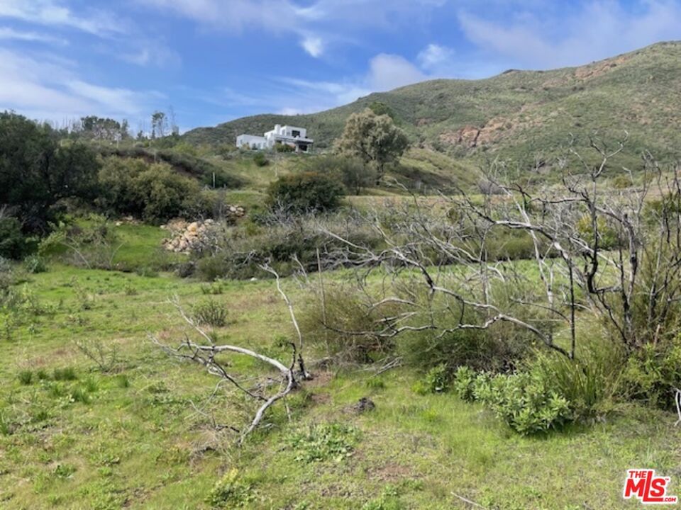 Mulholland photo 8