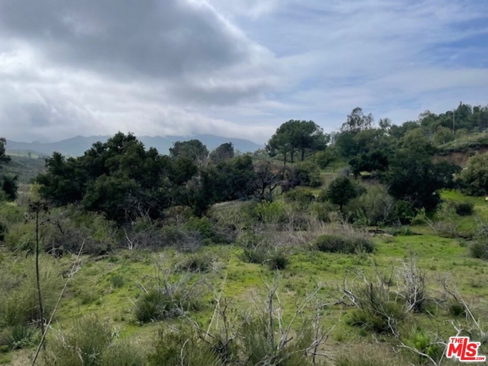 Mulholland photo 9
