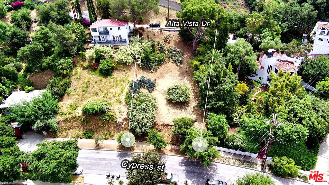 Cypress photo 1