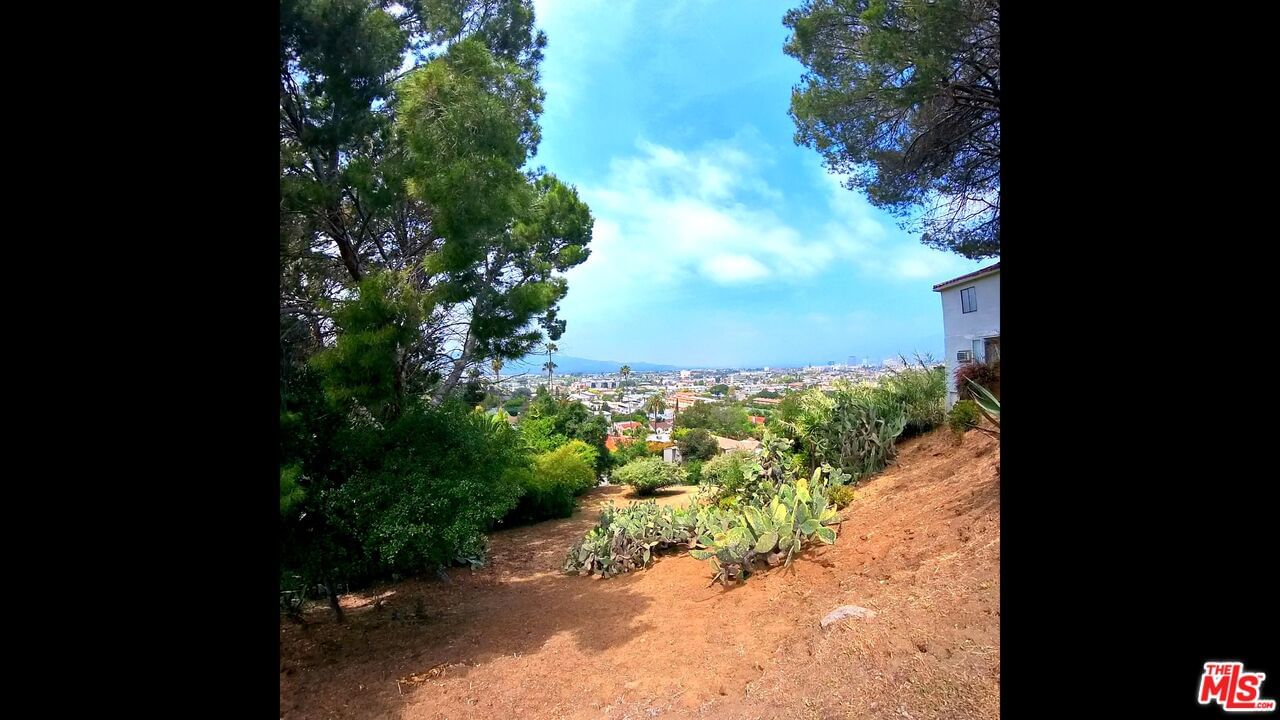 Cypress photo 4