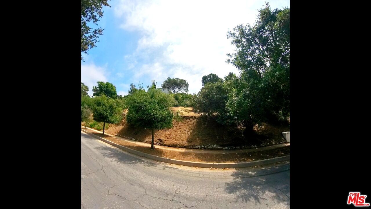 Cypress photo 5