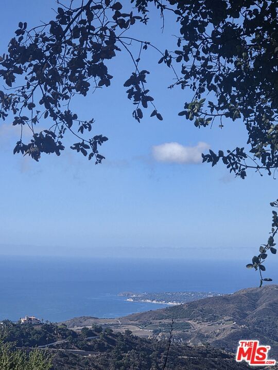 Loma Metisse photo 1