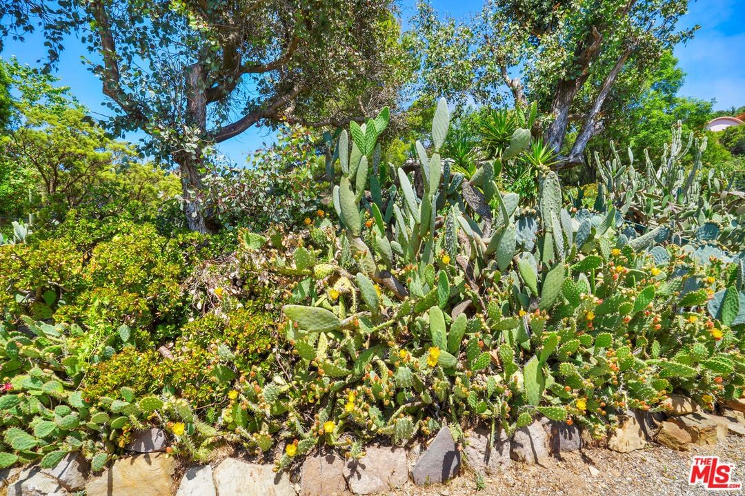 Loma Metisse photo 28