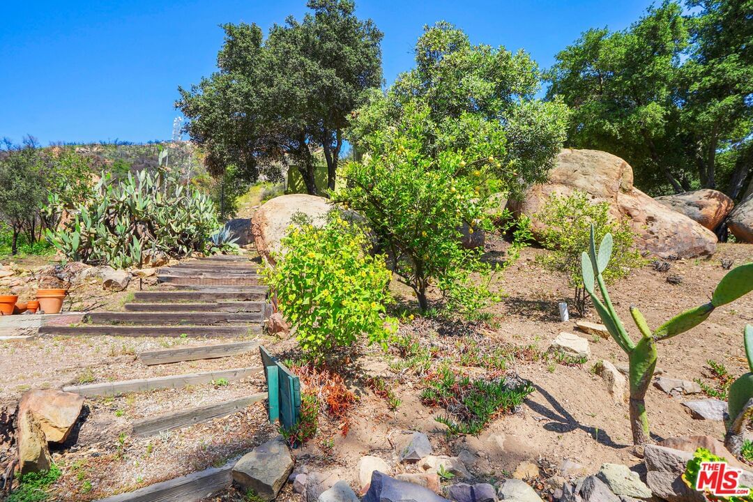 Loma Metisse photo 38
