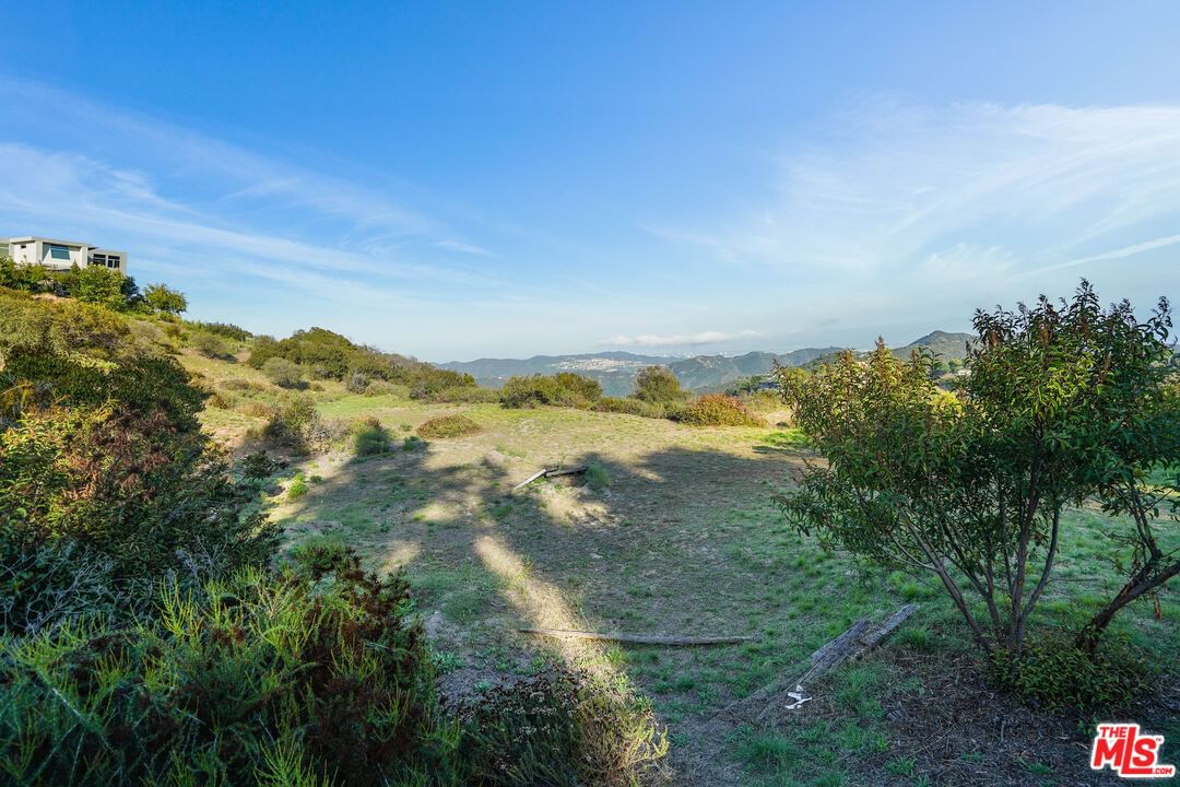 Saddle Peak photo 10