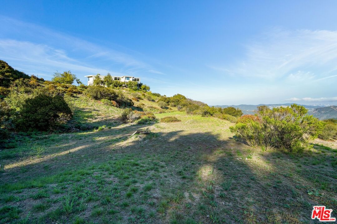 Saddle Peak photo 11