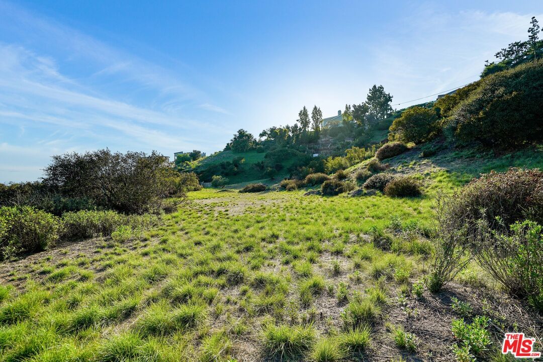 Saddle Peak photo 16
