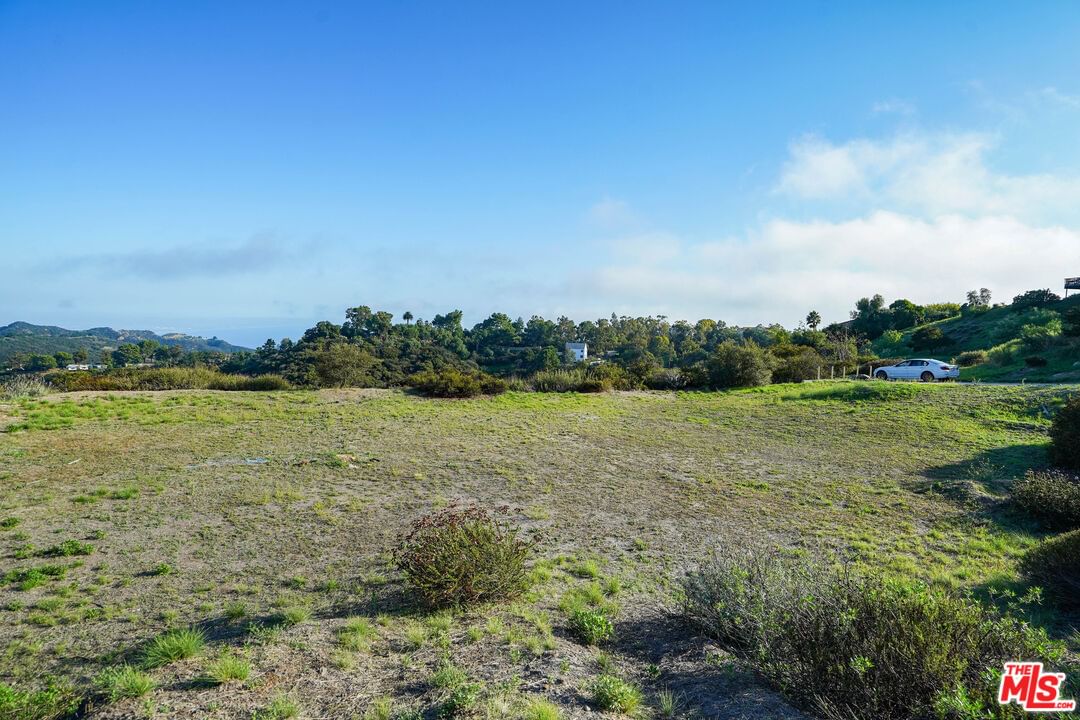 Saddle Peak photo 21