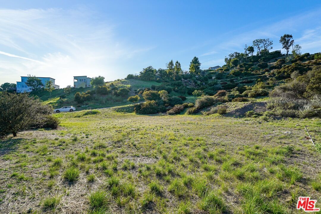 Saddle Peak photo 23