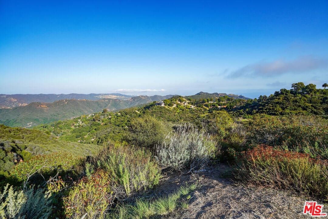 Saddle Peak photo 24