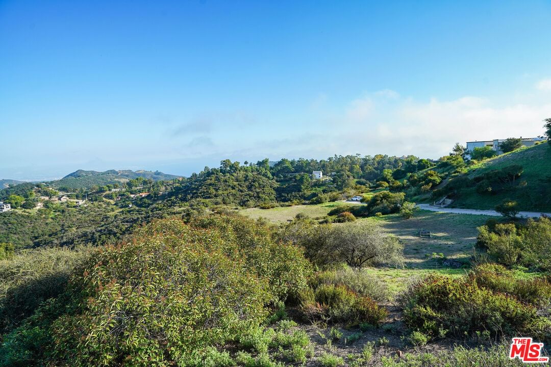 Saddle Peak photo 28